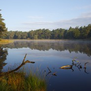 Foto: Schwarzes Wasser