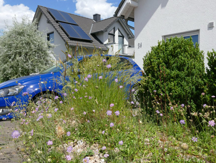 Foto: Klimaangepasste Gärten