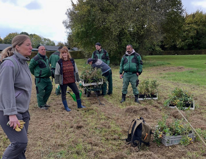 Foto: Vorbereitung der Pflanzstelle